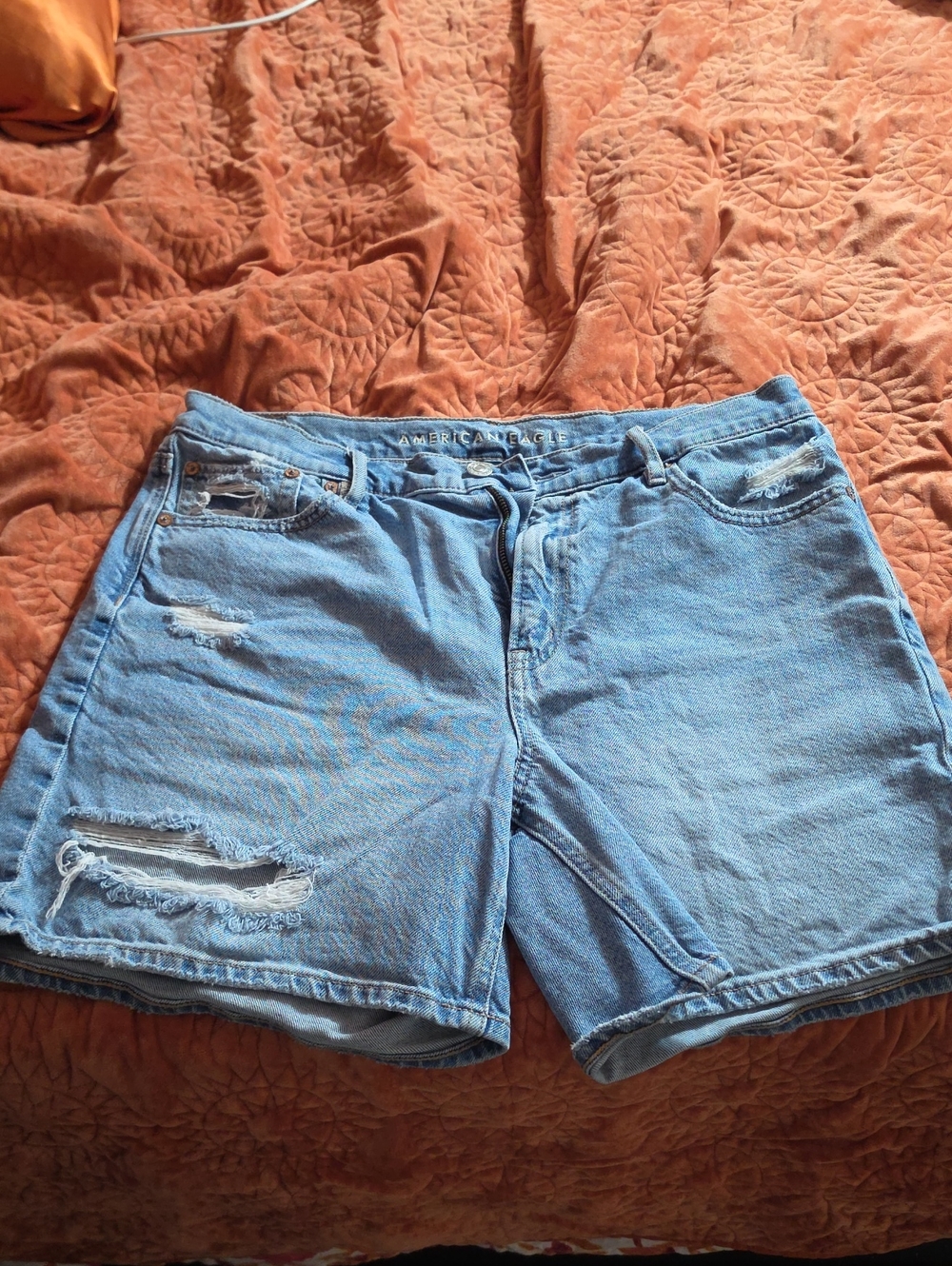 American Eagle Outfitters Light Blue Distressed Denim Shorts